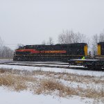 IAIS 517